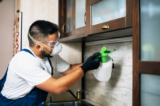 Best Residential Pest Control  in Manila, AR