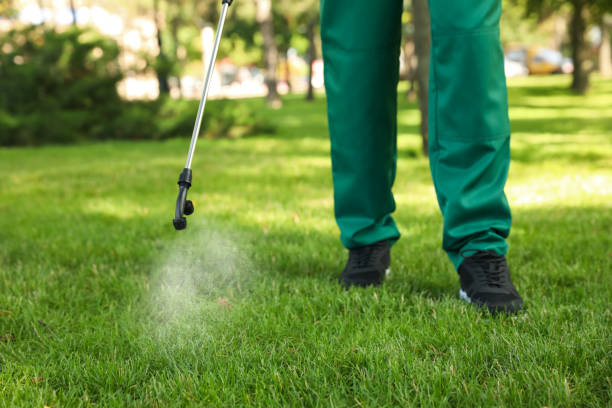 Best Commercial Pest Control Services  in Manila, AR