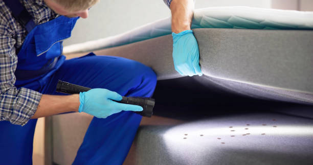Flea Control Services in Manila, AR